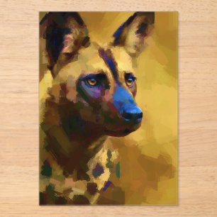 African Wild Dog Lycaon Pictus Acryleinladungen