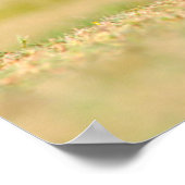 African Wild Dog (Lycaon Pictus) Standing Poster (Ecke)