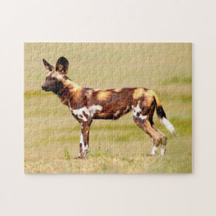 African Wild Dog (Lycaon Pictus) Standing Puzzle