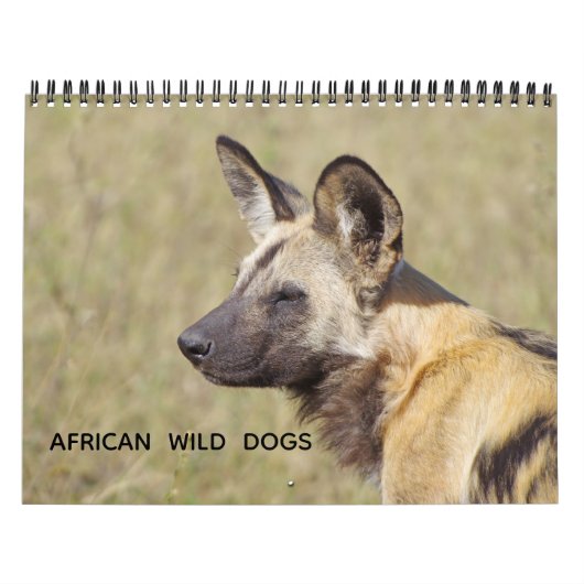 AFRICAN WILD DOGS KALENDER (Titelbild)