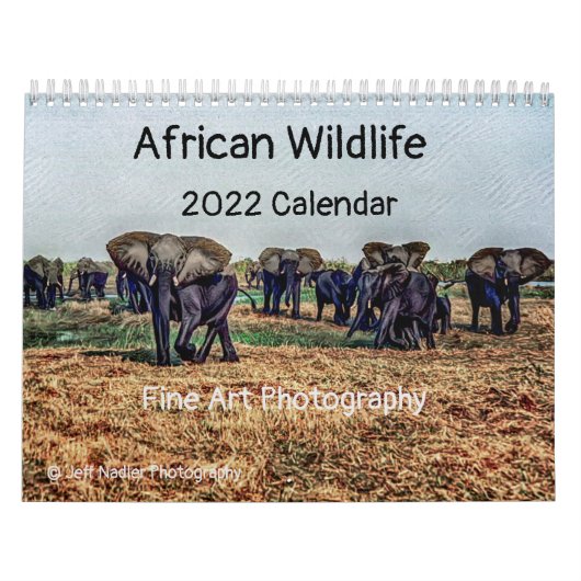 African Wildlife 2022 Calendar Kalender (Titelbild)