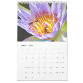 African Wildlife Calendar 2025 Kalender (Mär 2026)