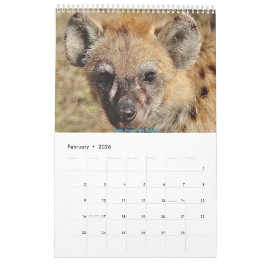 African Wildlife Calendar 2025 Kalender (Feb 2026)