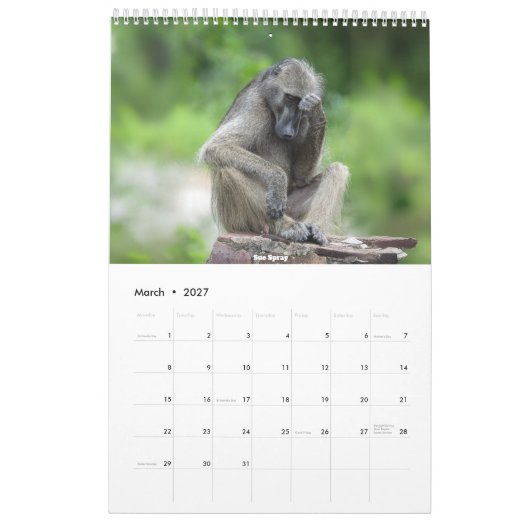 African Wildlife Calendar 2026 Kalender (Mär 2027)