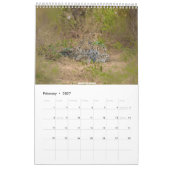 African Wildlife Calendar 2026 Kalender (Feb 2027)
