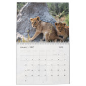 African Wildlife Calendar Kalender (Jan 2027)