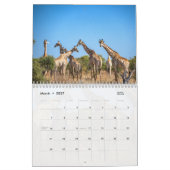 African Wildlife Calendar Kalender (Mär 2027)