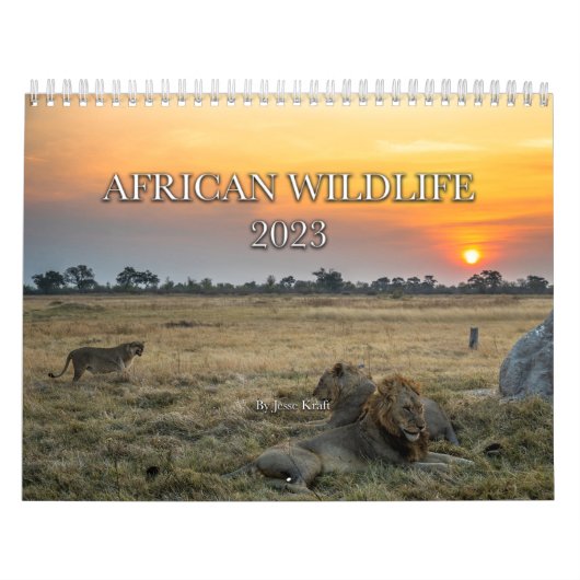 African Wildlife Calendar Kalender (Titelbild)