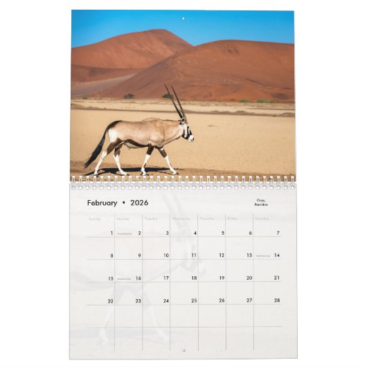 African Wildlife Calendar Kalender (Feb 2026)