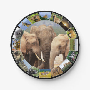 African Wildlife Foto Collage Elephant Family Pappteller