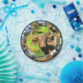 African Wildlife Foto Collage Muddy Buffalo Pappteller (Party)