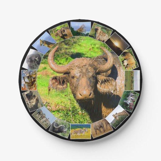 African Wildlife Foto Collage Muddy Buffalo Pappteller (Vorderseite)