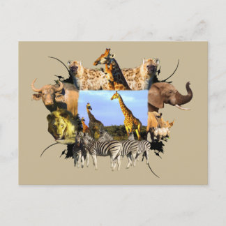 African Wildlife Frame Giraffe Herd Postkarte