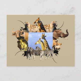 African Wildlife Frame Giraffe Lookout Postkarte
