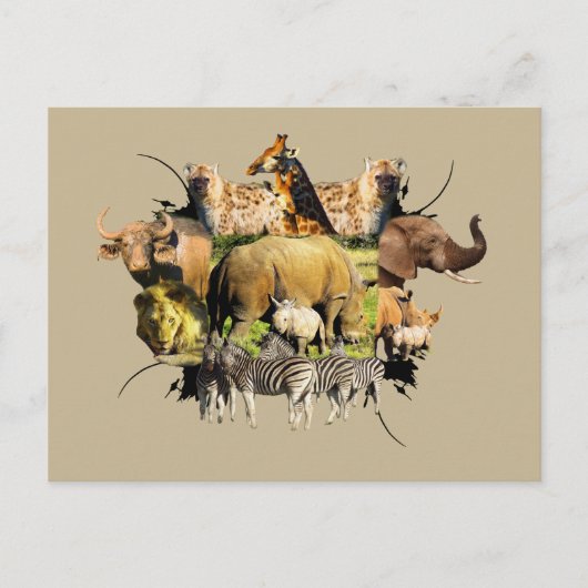 African Wildlife Frame Rhino Calf und Mutter Postkarte (Vorderseite)