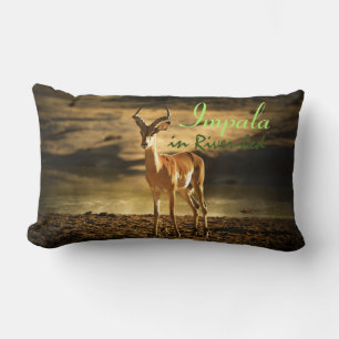 African Wildlife Impala im Flussbett Lendenkissen