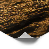 African Wildlife Impala im Flussbett Poster (Ecke)