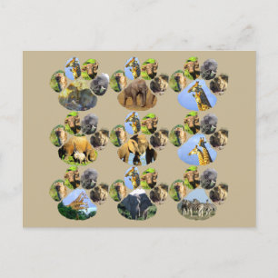 African Wildlife Lion Pawprint 9 Collage Postcard Postkarte