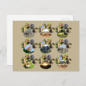 African Wildlife Lion Pawprint 9 Collage Postcard Postkarte (Vorne/Hinten)
