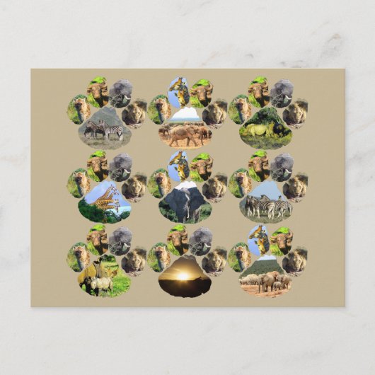 African Wildlife Lion Pawprint 9 Collage Postcard Postkarte (Vorderseite)