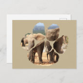 African Wildlife Lion Pawprint Elephant Siblans Postkarte (Vorne/Hinten)