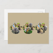 African Wildlife Lion Pawprint Triple Collage Postkarte (Vorne/Hinten)