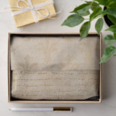 African Wildlife Secretary Bird Portrait Theme Seidenpapier (Geschenk)