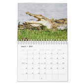 African Wildlife Wall Calendar Kalender (Mär 2027)