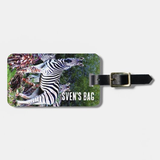 African Zebra Aloe Gepäckanhänger (Vorderseite horizontal)