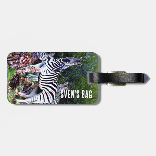 African Zebra Aloe Gepäckanhänger (Rückseite horizontal)