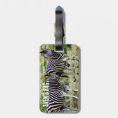 African Zebra Pair Gepäckanhänger (Rückseite vertikal)