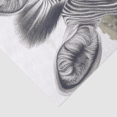 African Zebra Pencil Sketch Seidenpapier (Detail)