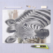 African Zebra Pencil Sketch Seidenpapier (Handwerk)