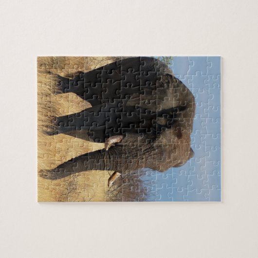 Africian Elephant Puzzle (Horizontal)