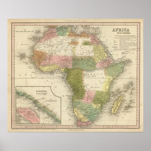 Afrika 13 poster (Vorne)