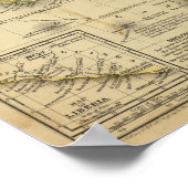 Afrika 18 poster (Ecke)