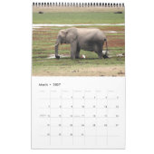 Afrika 2011 15 Monate Single Kalender (Mär 2027)