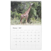 Afrika 2011 15 Monate Single Kalender (Feb 2027)