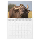 Afrika 2020 Wildtiere Kalender (Jan 2027)