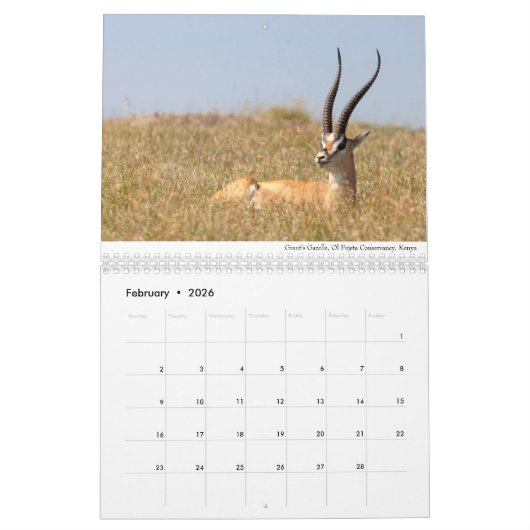 Afrika 2020 Wildtiere Kalender (Feb 2026)