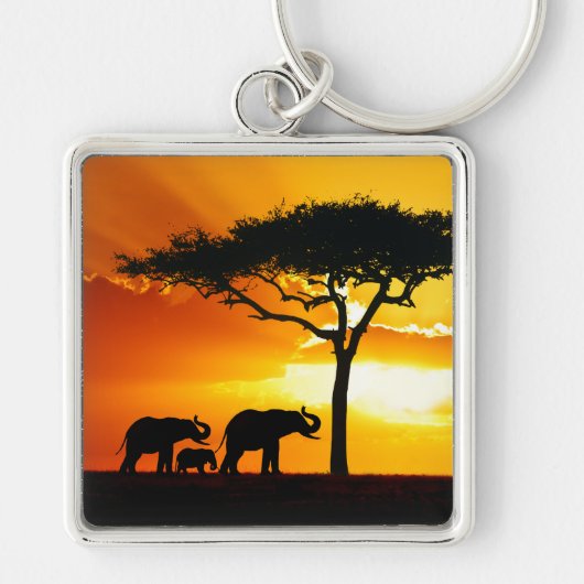 Afrika 2 Schlüsselanhänger (Vorne)