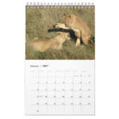 AFRIKA - A Million Animals Calendar 2014 Single Pg Kalender (Jan 2027)