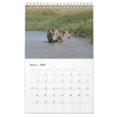 AFRIKA - A Million Animals Calendar 2014 Single Pg Kalender (Mär 2027)