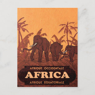 Afrika, afrikanische Elefanten auf Palmen, vintage Postkarte