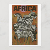 Afrika, afrikanische Zebra, Savannah, Jahrtausendr Postkarte (Vorderseite)