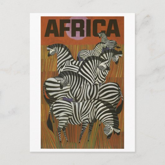 Afrika, afrikanische Zebra, Savannah, Jahrtausendr Postkarte (Vorderseite)