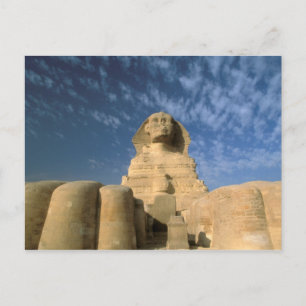 Afrika, Ägypten, Kairo, Gizeh-Plateau. Sphinx Postkarte