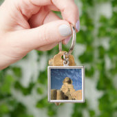 Afrika, Ägypten, Kairo, Gizeh-Plateau. Sphinx Schlüsselanhänger (Hand)