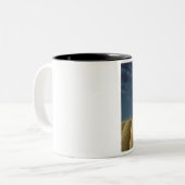 Afrika, Ägypten, Kairo, Gizeh-Plateau. Sphinx Zweifarbige Tasse (Vorderseite Links)