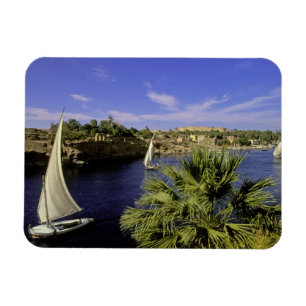 Afrika, Ägypten, Oberägypten, Assuan. Feluccas 2 Magnet